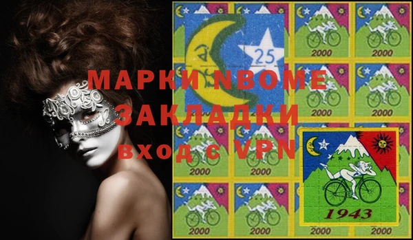шишки Арсеньев