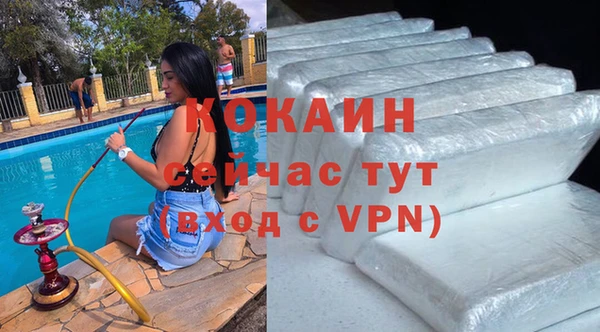 шишки Арсеньев