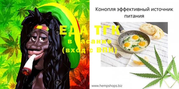 шишки Арсеньев