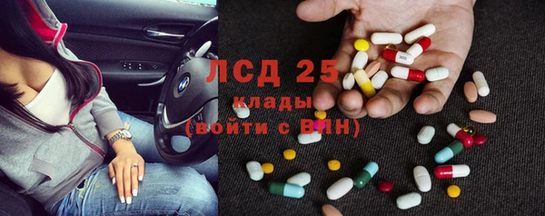 ГАЛЛЮЦИНОГЕННЫЕ ГРИБЫ Аркадак