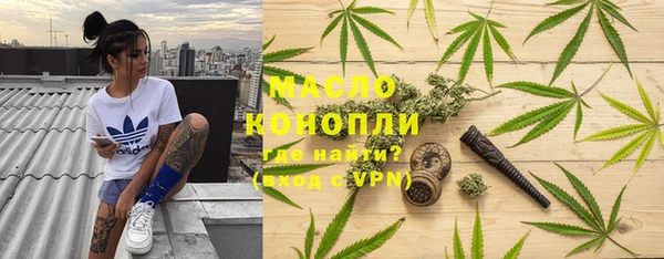 шишки Арсеньев
