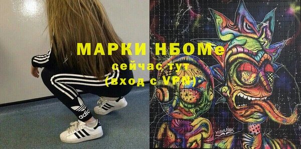 ГАЛЛЮЦИНОГЕННЫЕ ГРИБЫ Аркадак