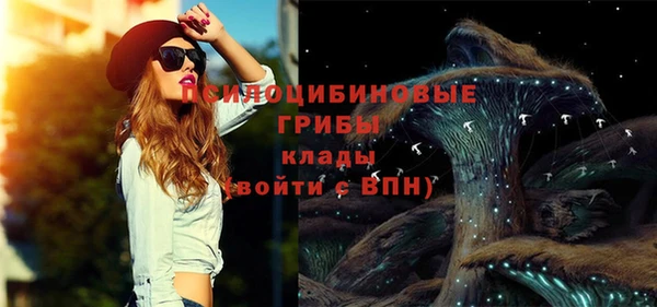 шишки Арсеньев