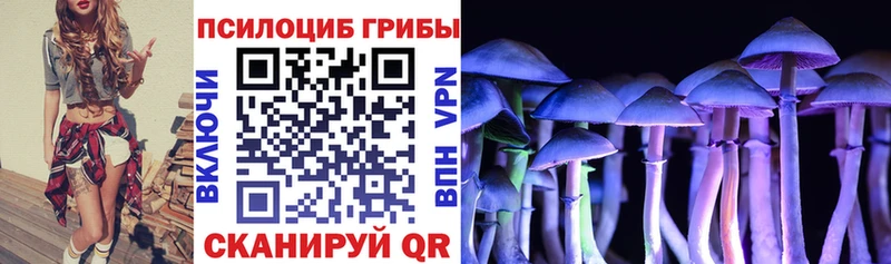 Псилоцибиновые грибы Psilocybe  даркнет какой сайт  Лесной 